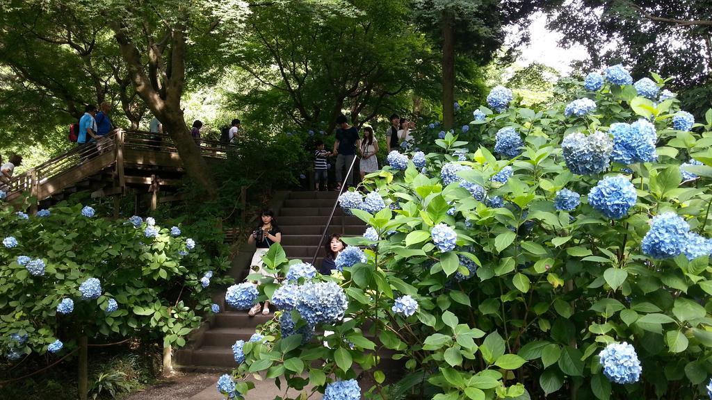Enoshima Guest House 134 Fujisawa Eksteriør bilde